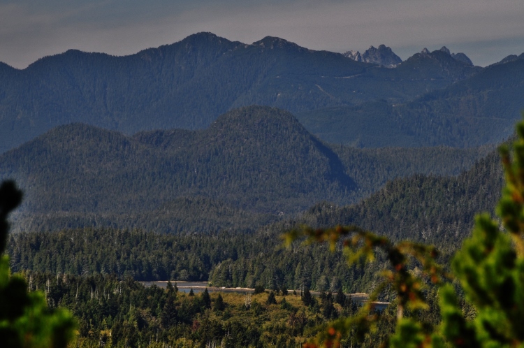 view from Radar Hill